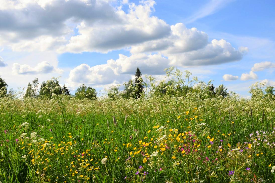 Evakkokyl&auml;kierros