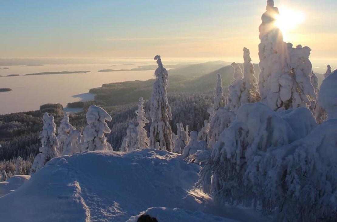 Koli