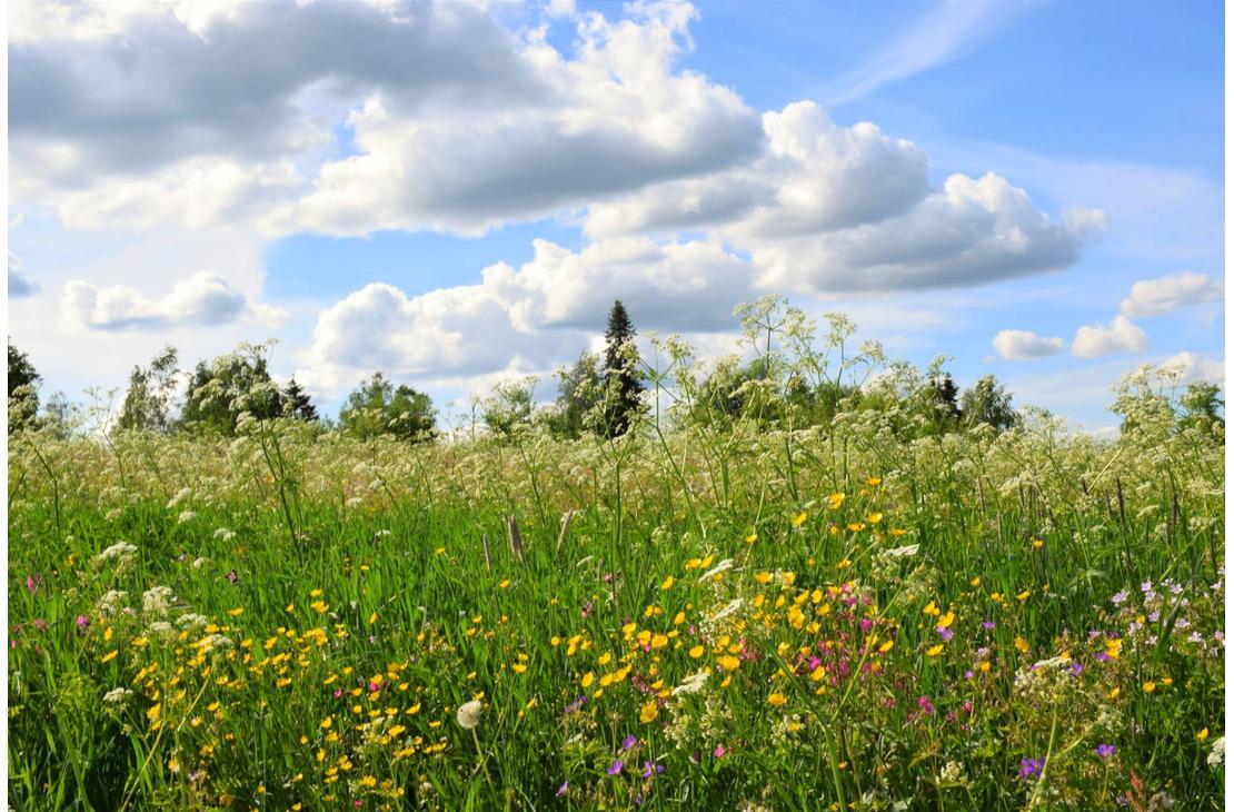 Evakkokyl&auml;kierros