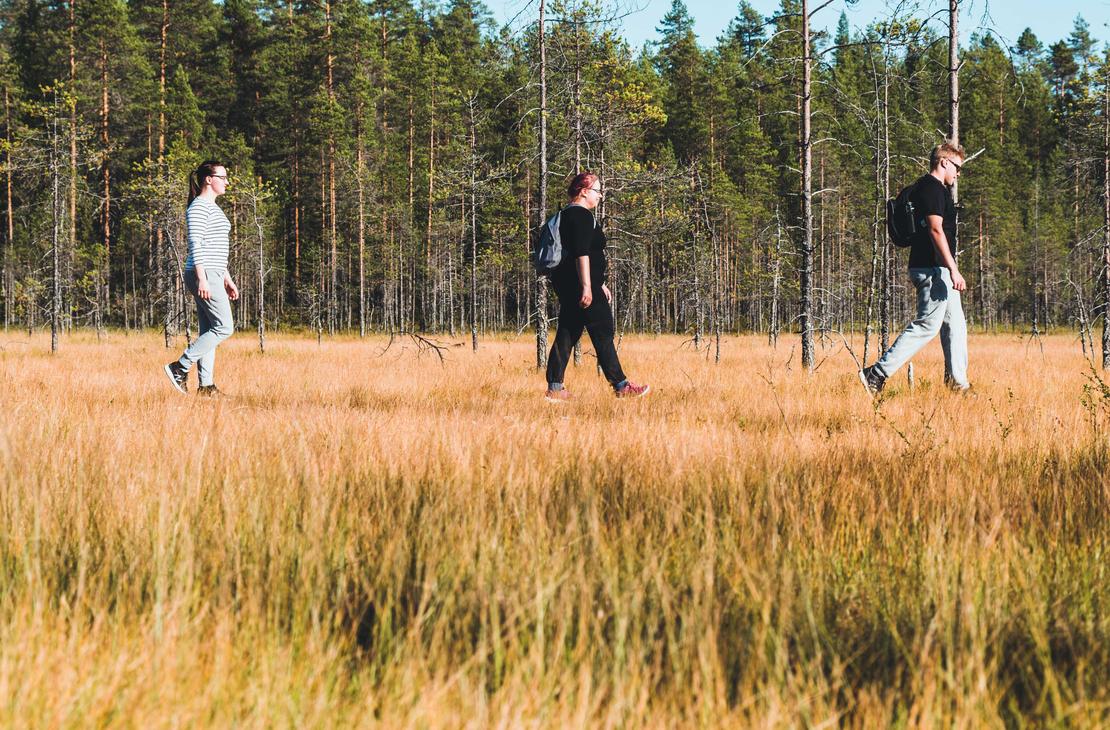 Tiilikan kansallispuisto