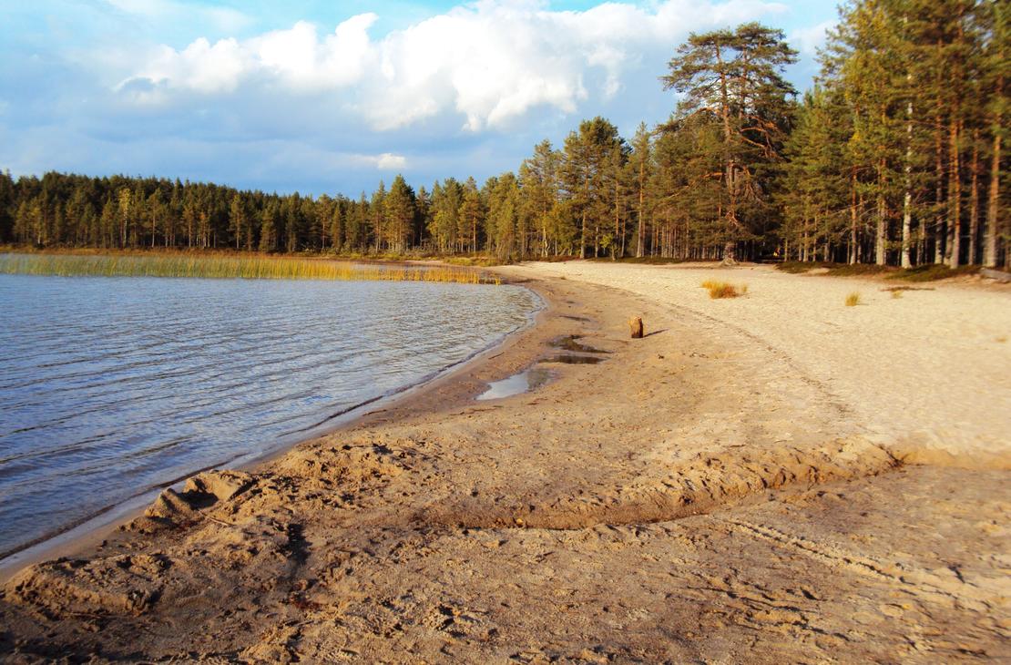 Kolin kansallispuisto opastettu retki