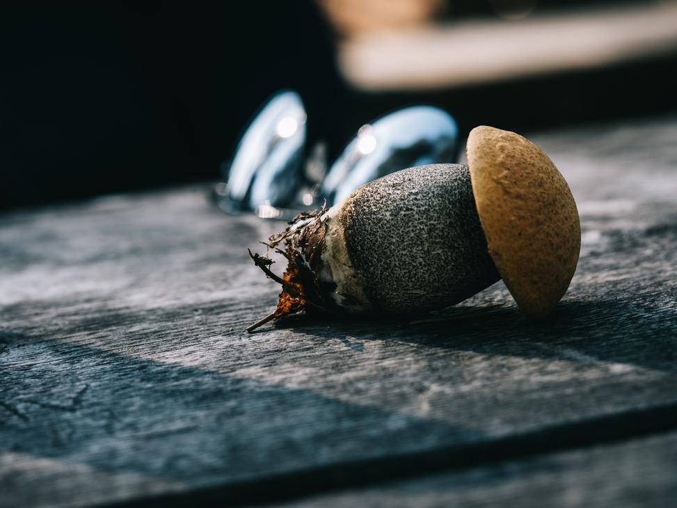 Tiilikan kansallispuisto opastetut retket