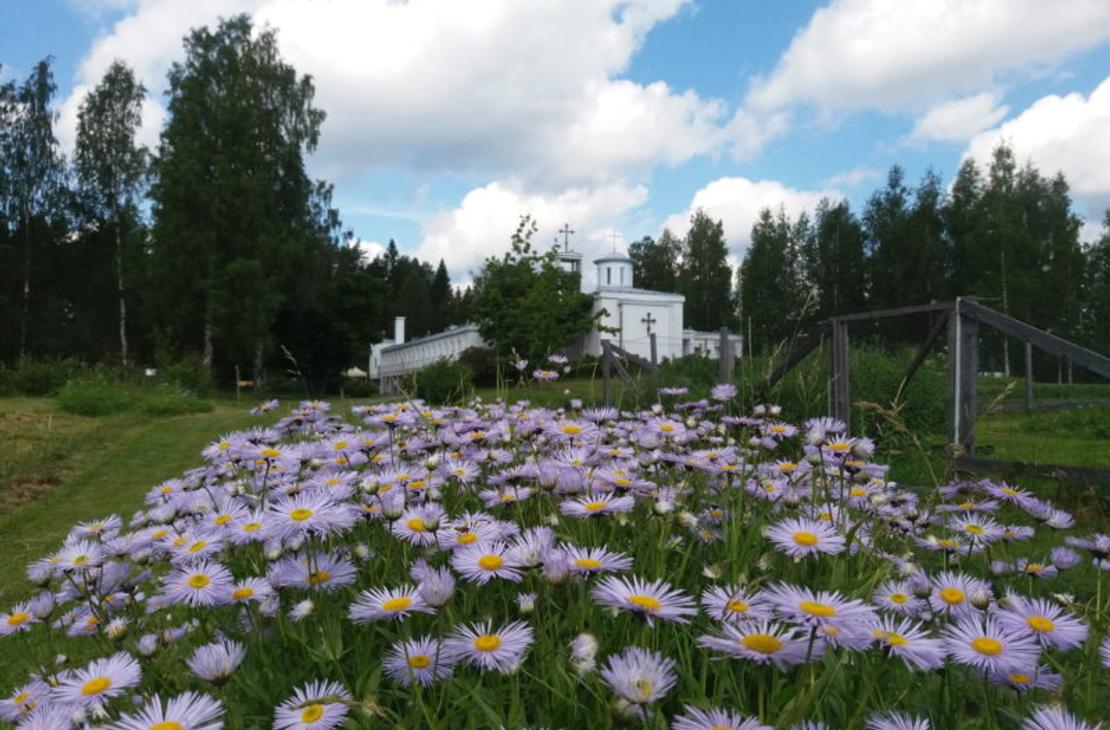 &Auml;ksyt &Auml;mm&auml;t matkatoimisto