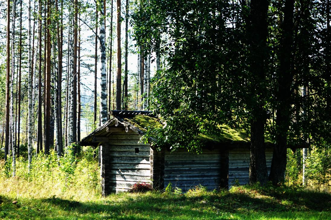 Tiilikan kansallispuisto opastetut retket