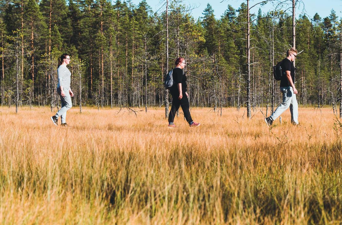 Tiilikan kansallispuisto