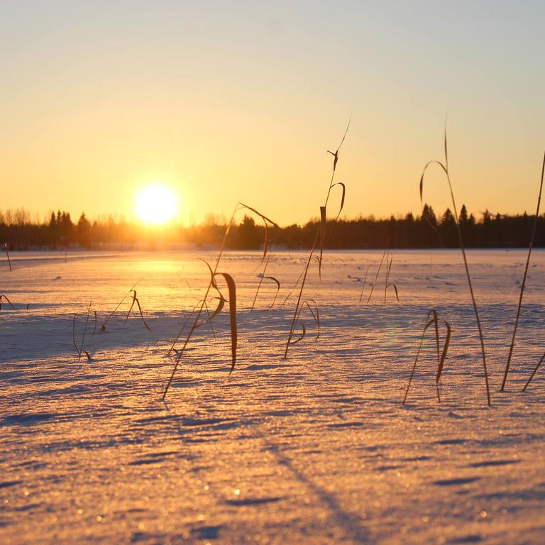 Finland's unspoilt nature