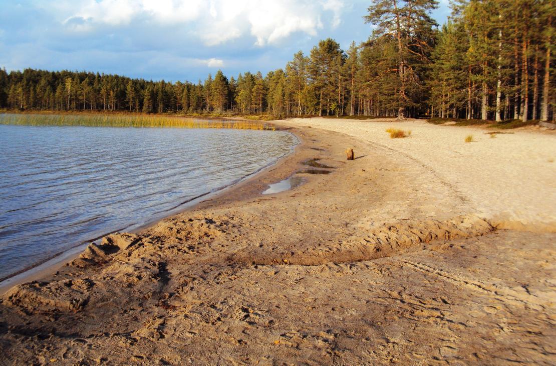 Kolin kansallispuisto opastettu retki