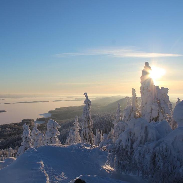 Koli