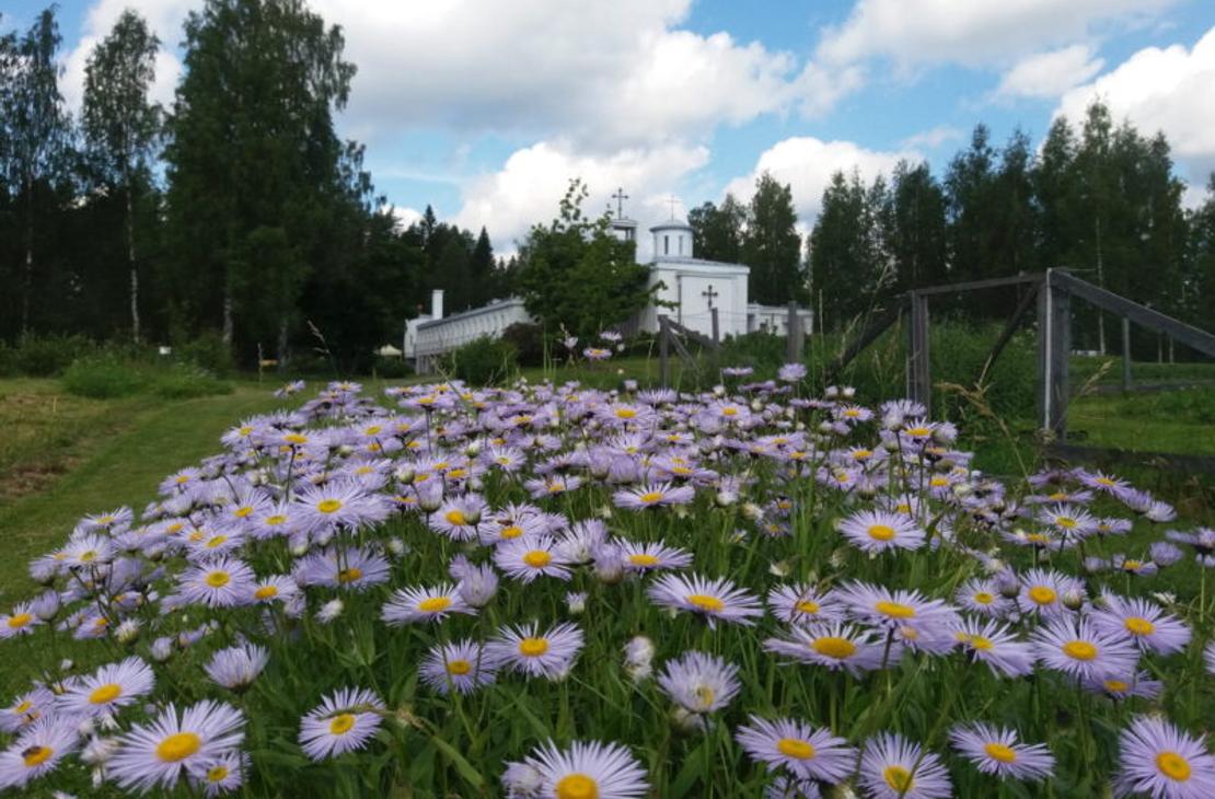 &Auml;ksyt &Auml;mm&auml;t matkatoimisto