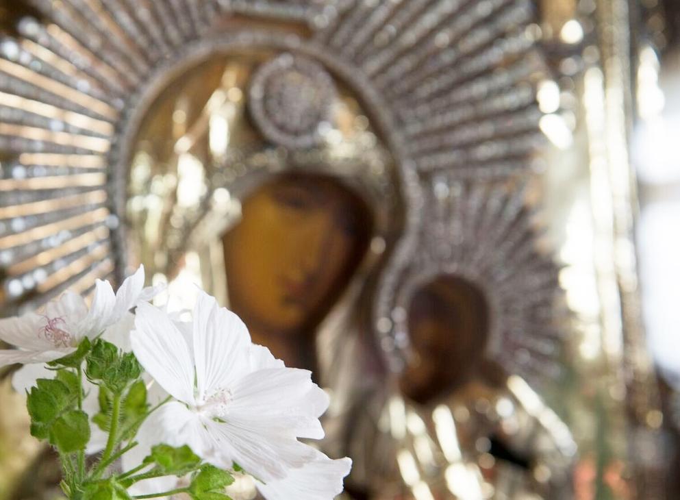 Koli_Bomba &Auml;ksyt &Auml;mm&auml;t verkkokauppa