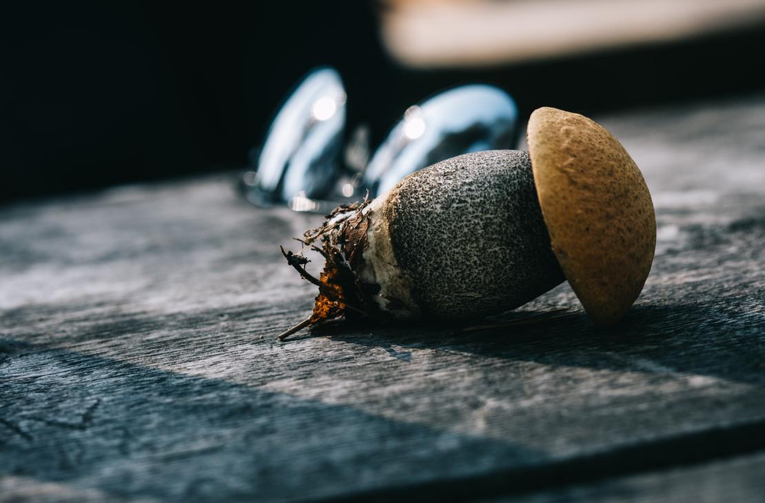 Tiilikan kansallispuisto opastetut retket