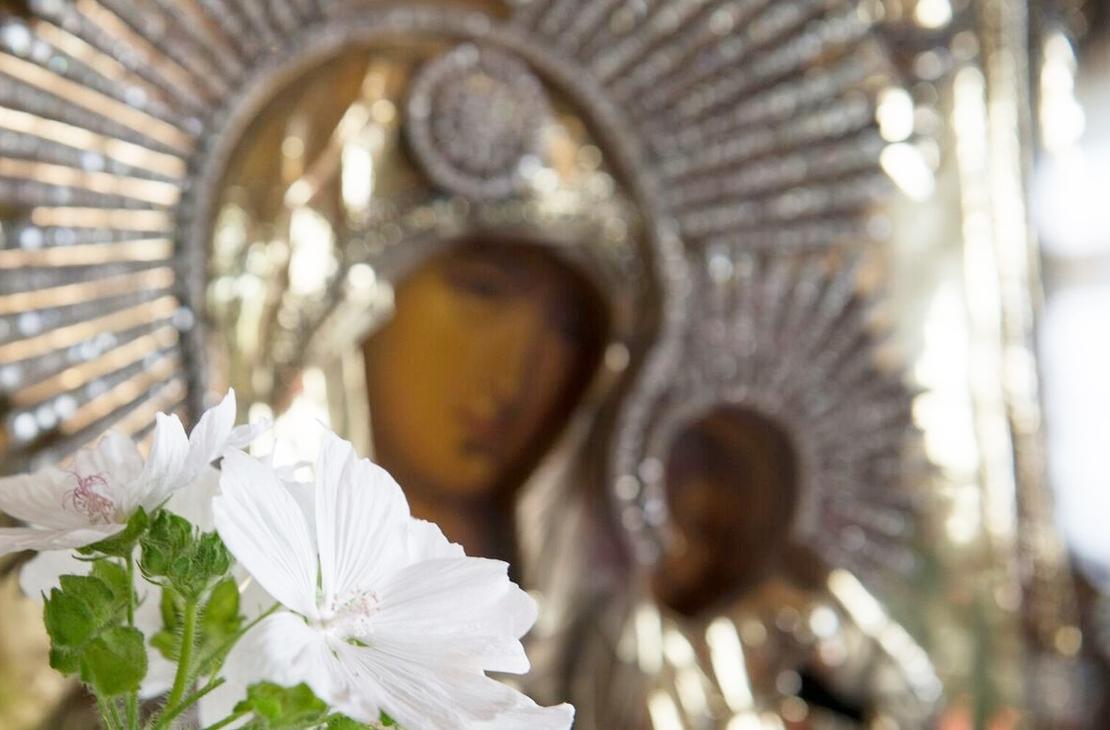 Koli_Bomba &Auml;ksyt &Auml;mm&auml;t verkkokauppa