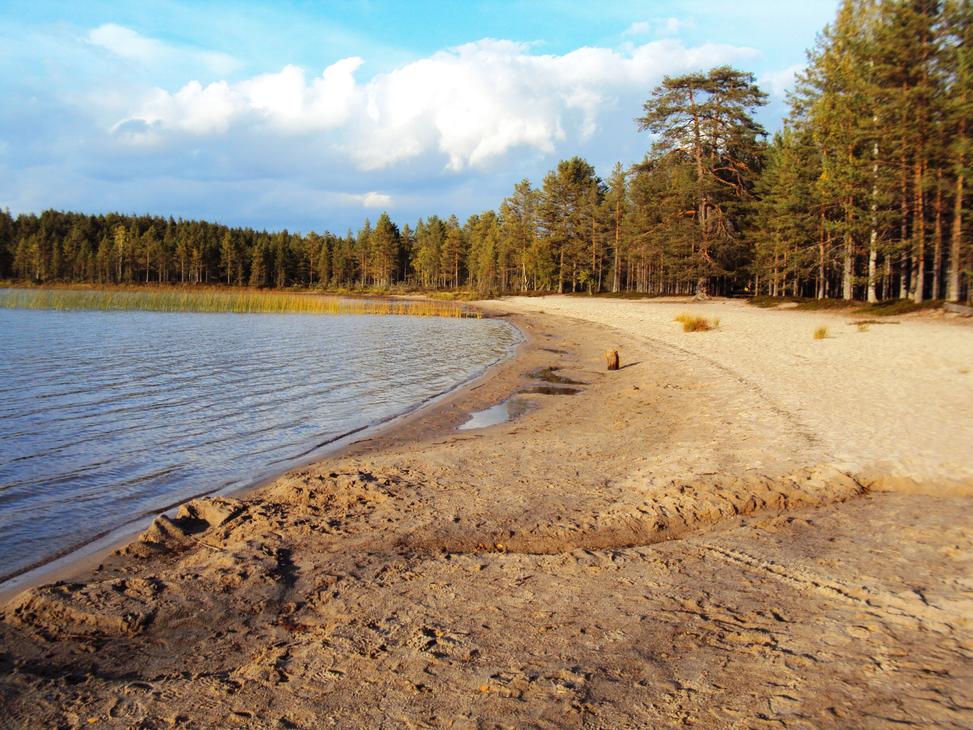 Kolin kansallispuisto opastettu retki