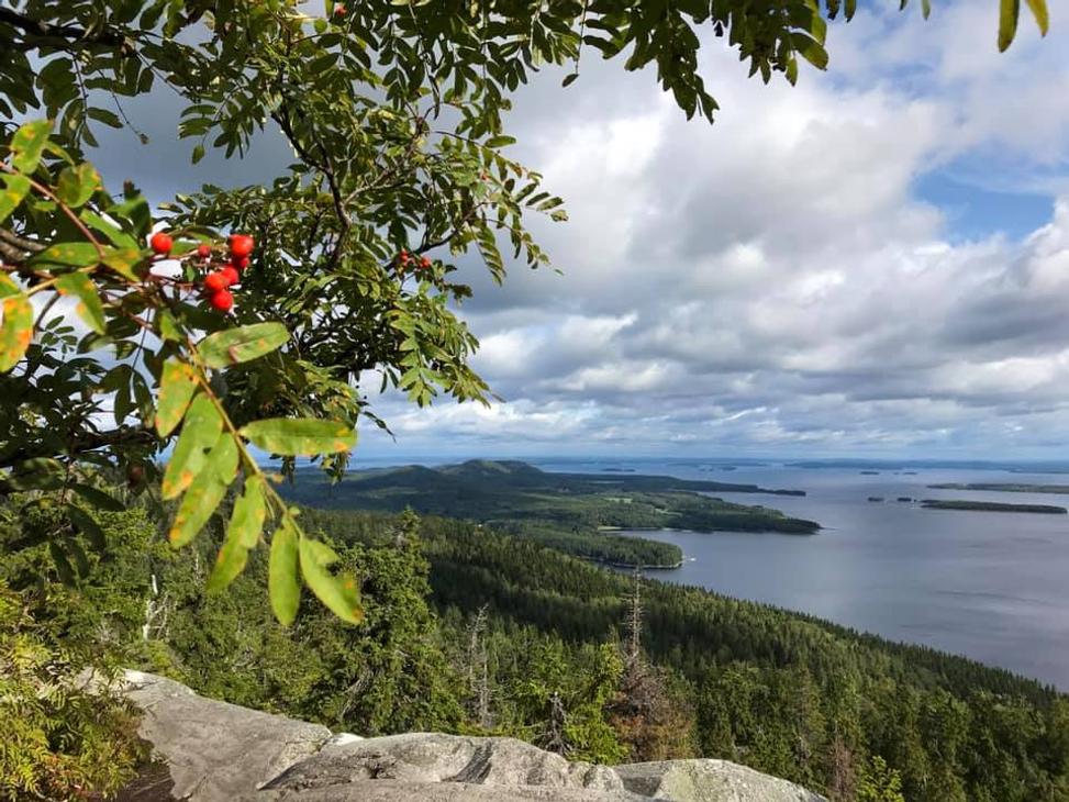 Koli. Pohjois-Karjala
