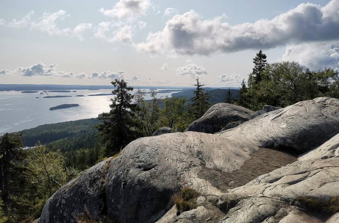Koli