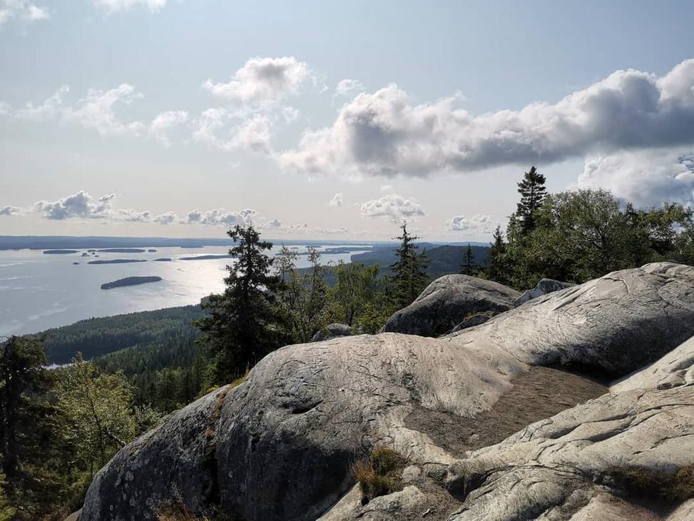 Koli