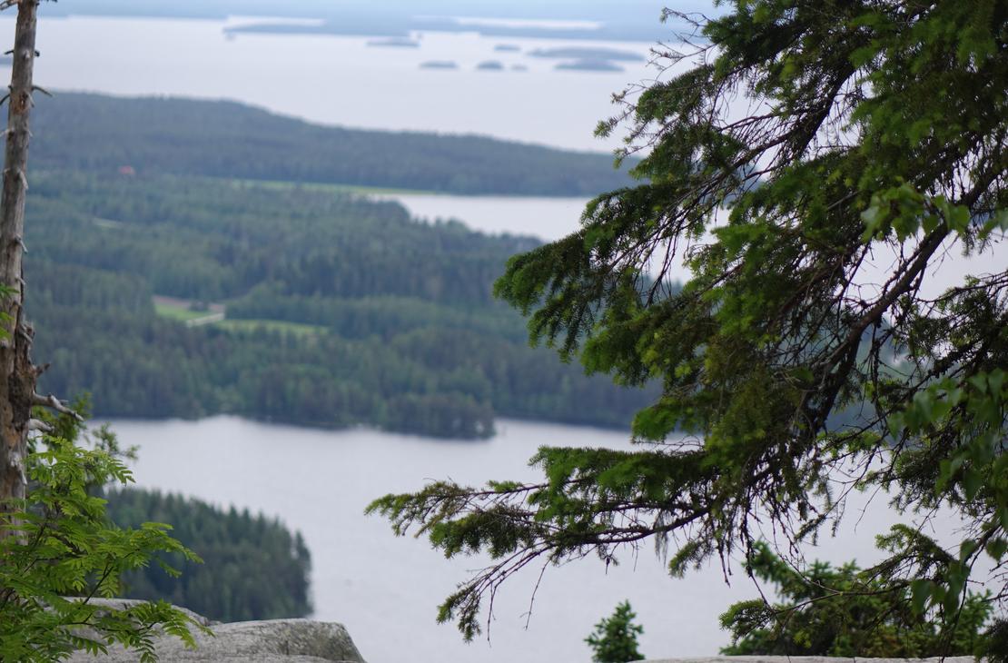 Kolin kansallispuisto