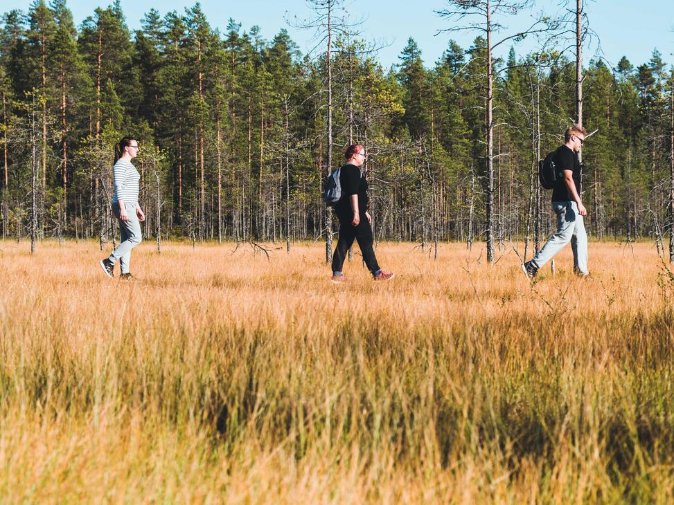 Tiilikan kansallispuisto