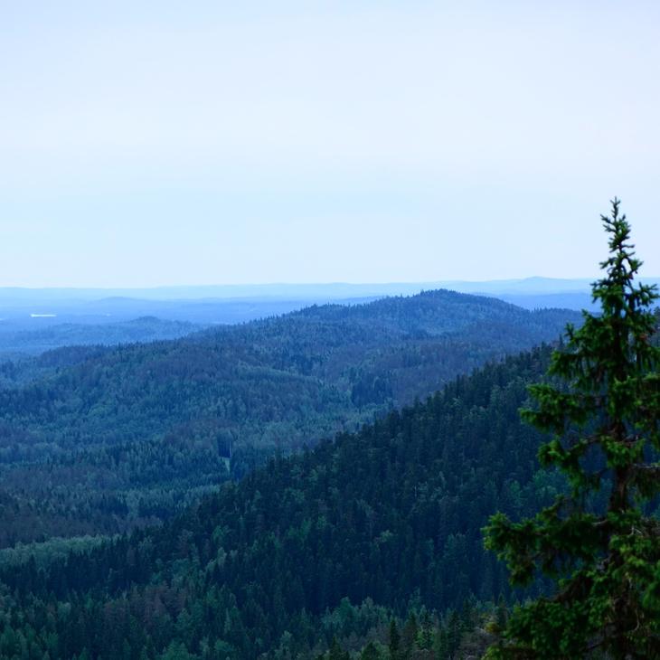 Koli. Pohjois-Karjala
