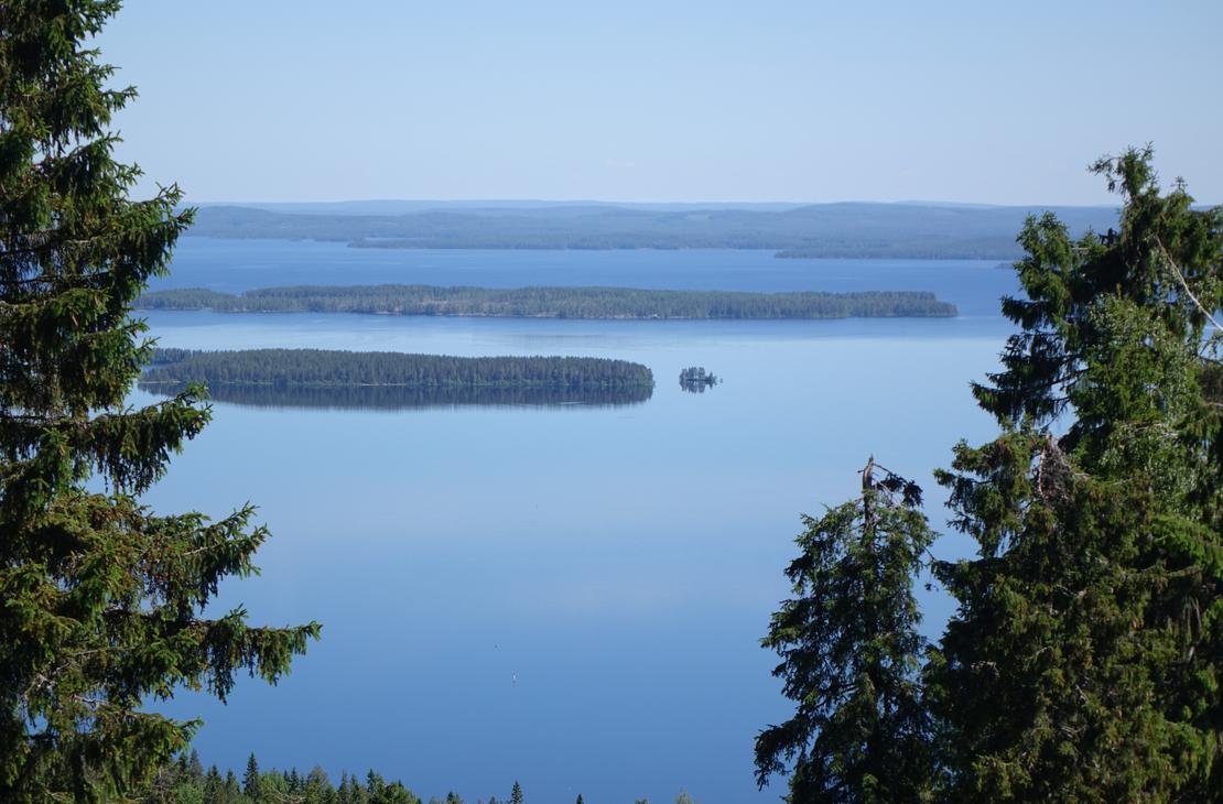 Koli